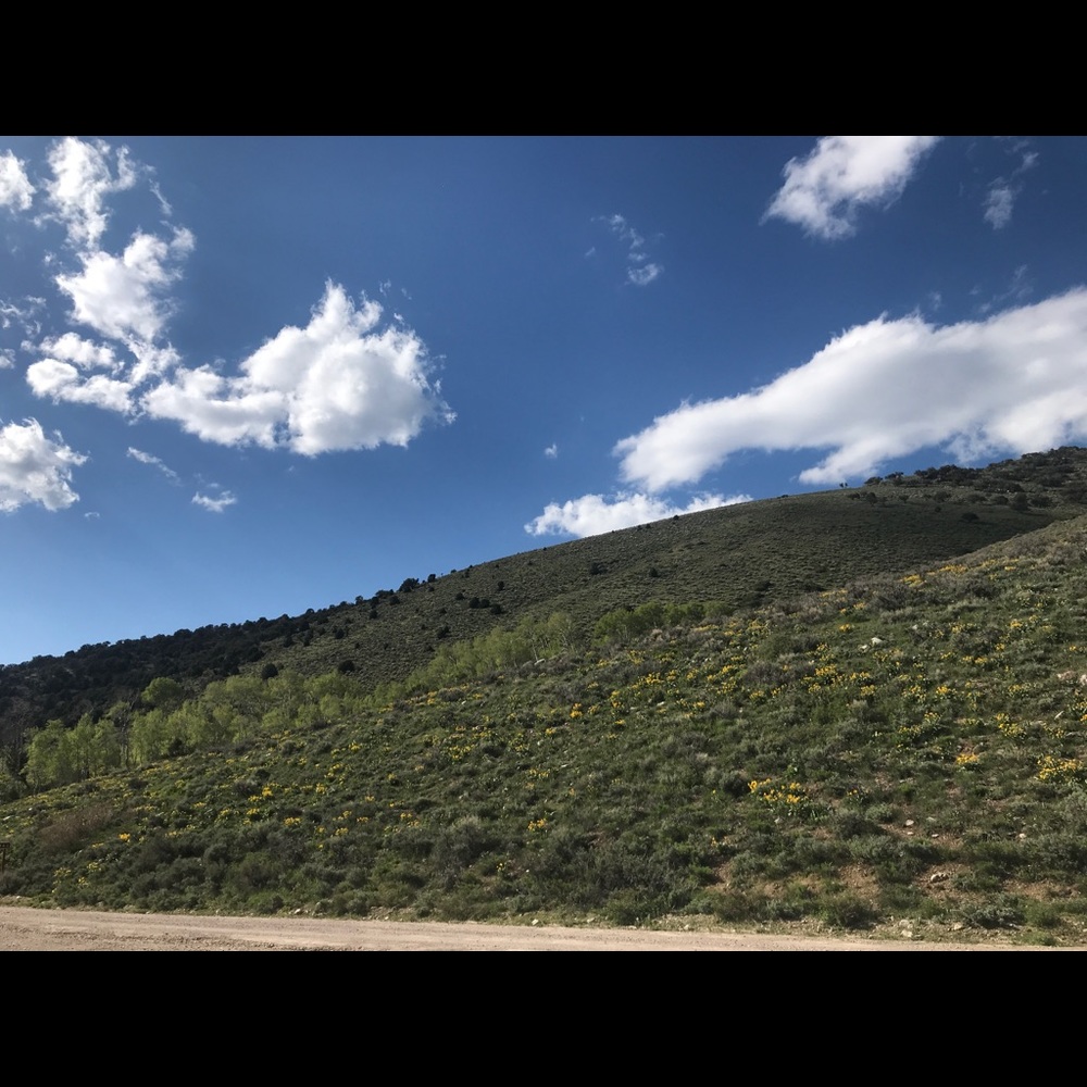 Meet your Posher, Sheree